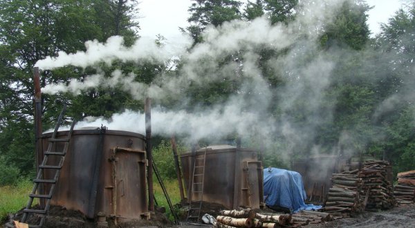 Wypał węgla drzewnego - plenerowe muzeum wypału w Mucznem