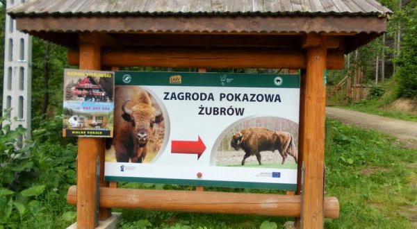 Zagroda żubrów