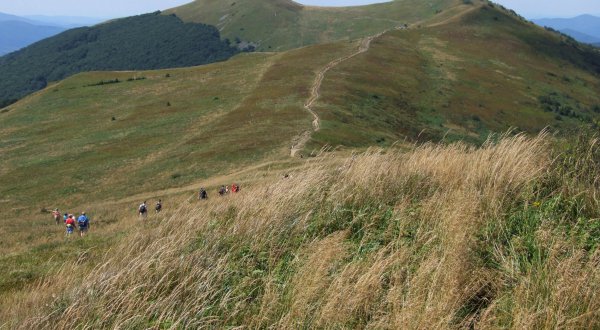 Bike trials, walking path