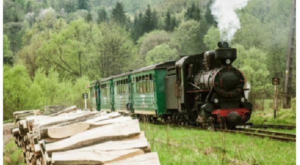 Chemin de fer a voie étroite de Bieszczady, passant par la foret. 60 km (En période d'été seulement)
