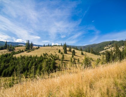 Zapraszamy do Ustrzyk Dolnych - idealne miejsce na wypoczynek w górach